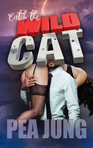 Cover: Catch the wildcat